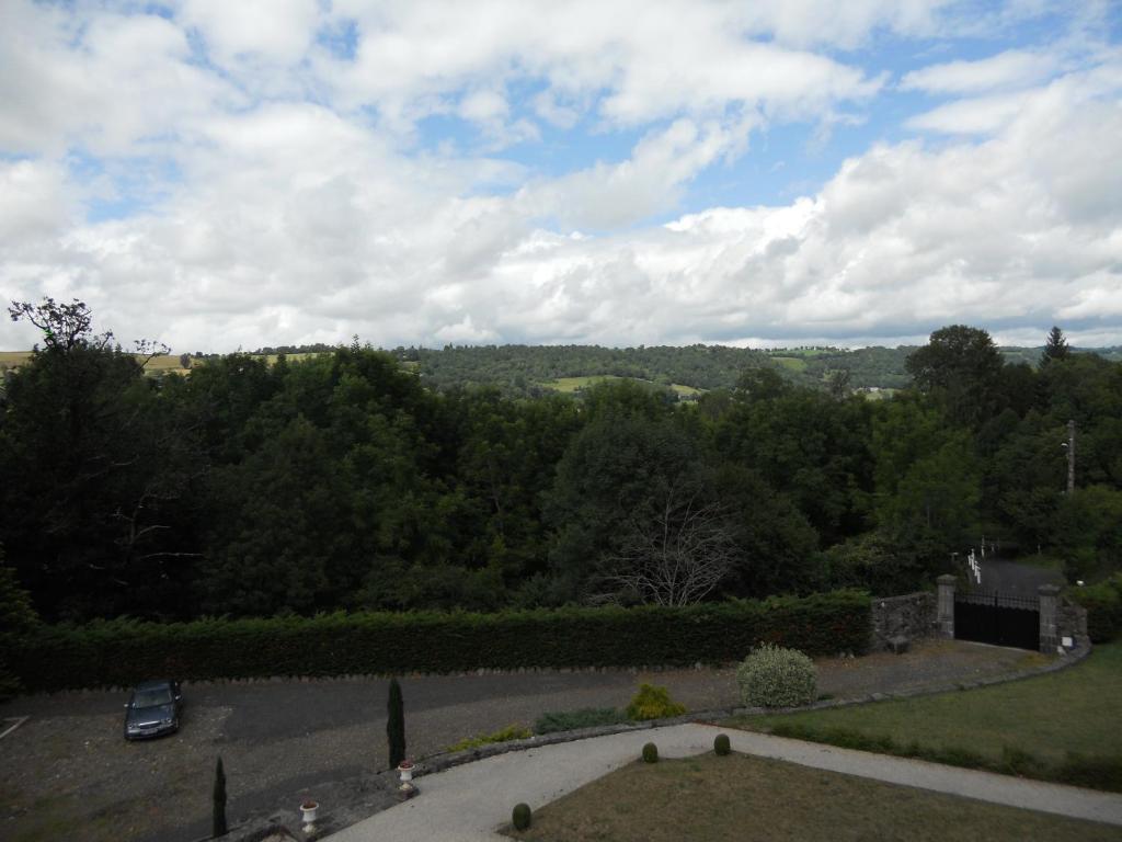 Chateau De La Moissetie Aurillac Room photo